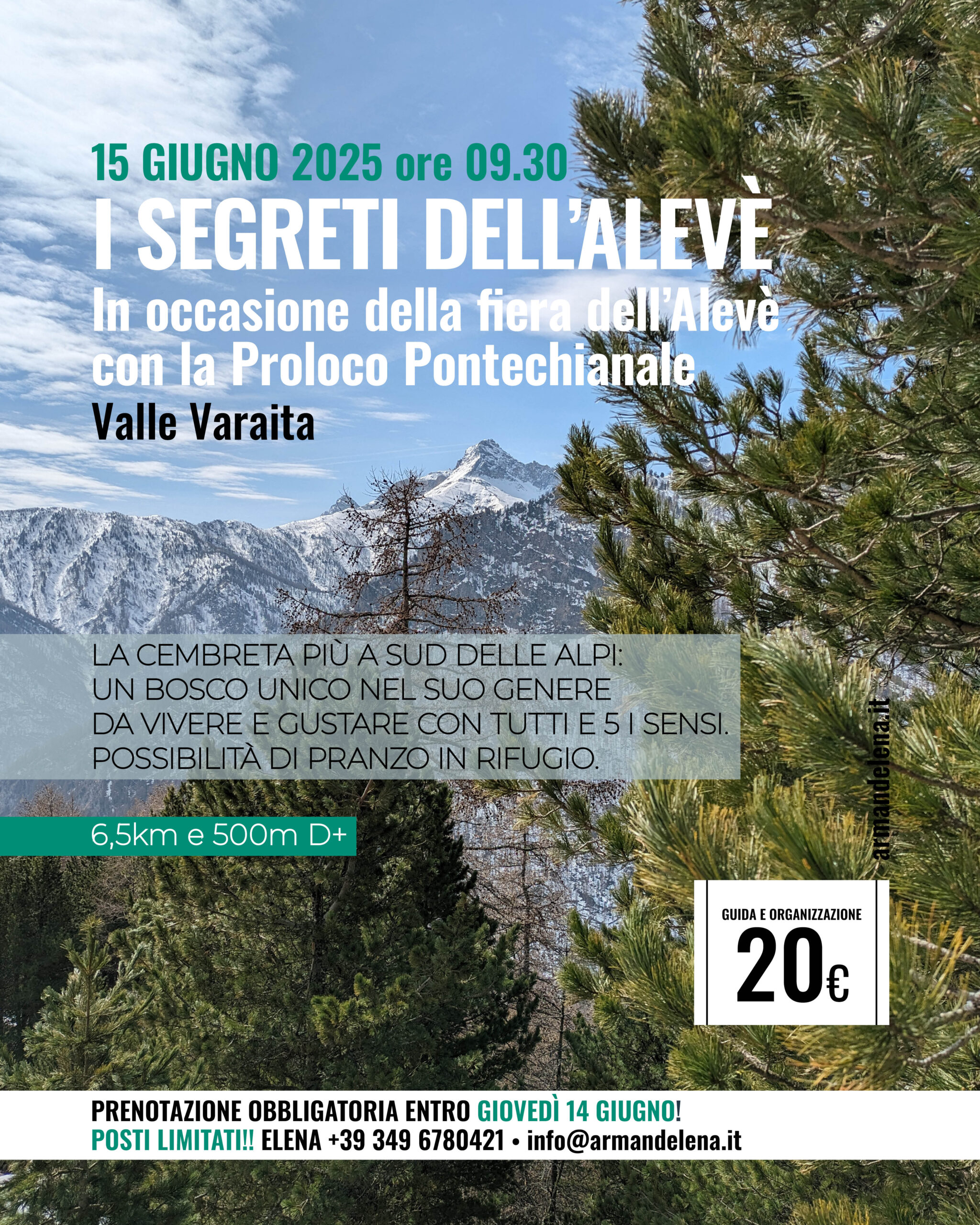 15 GIUGNO I SEGRETI DELL'ALEVè