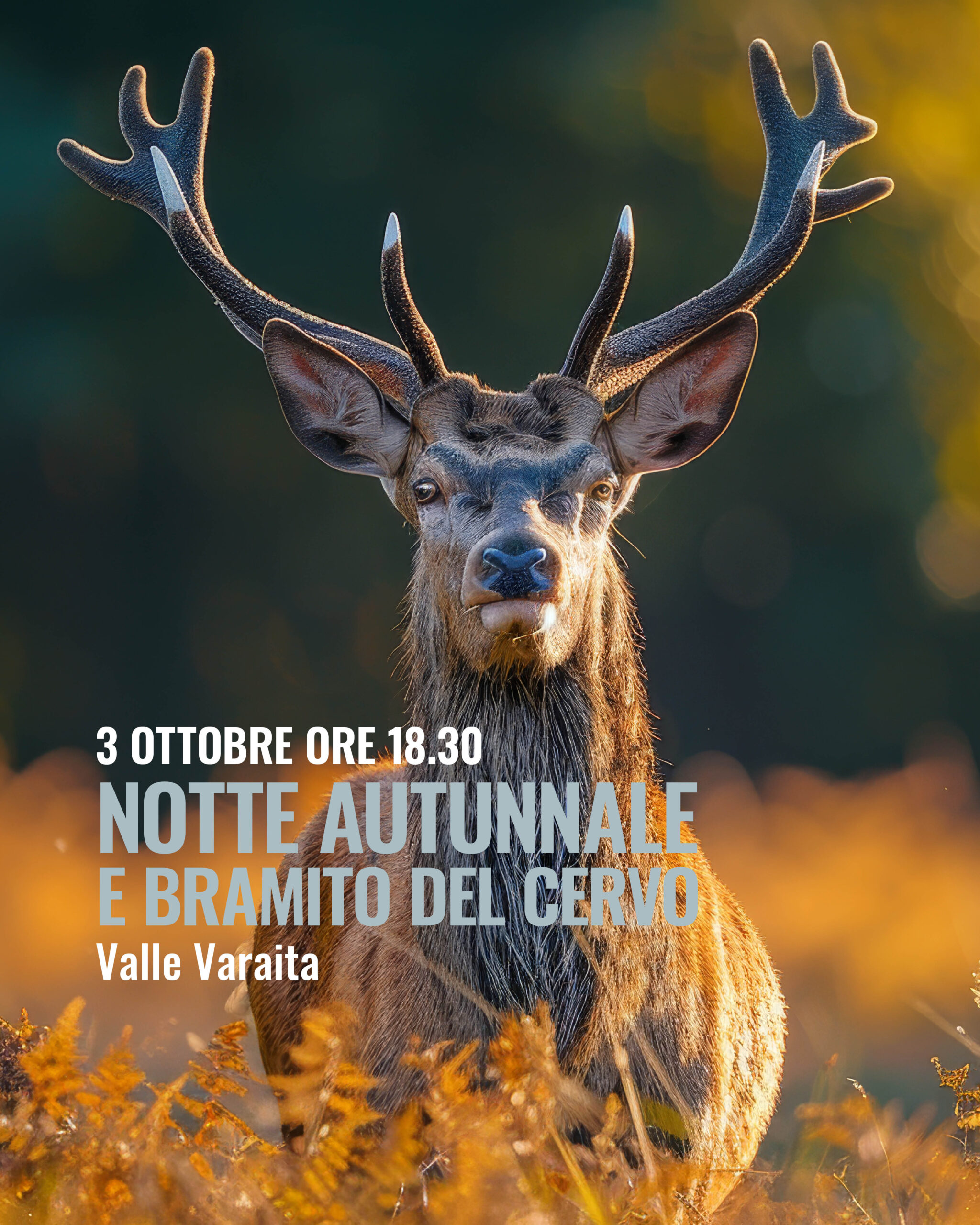 3 OTTOBRE BRAMITO del cervo escursione e cena