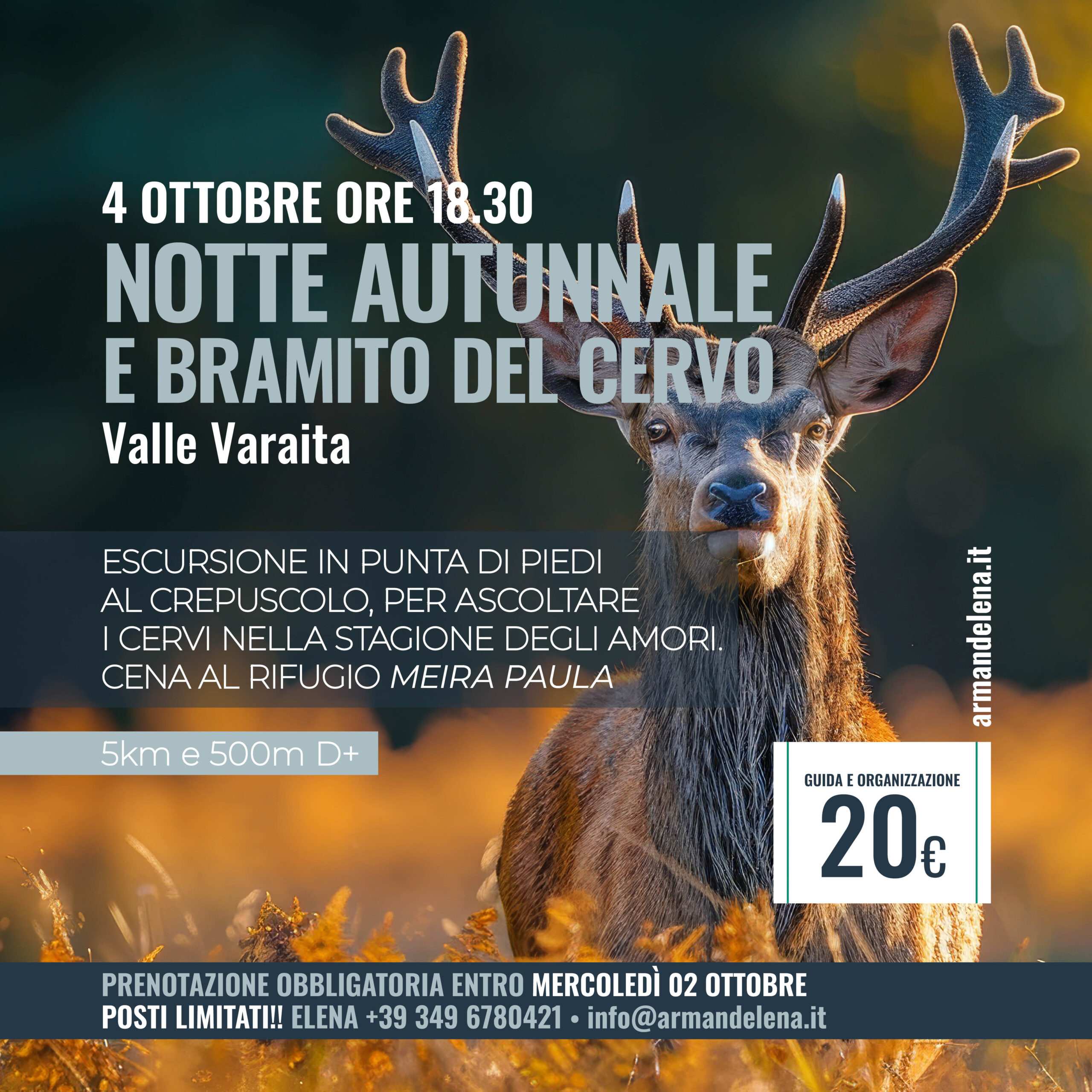 4 ottobre BRAMITO cervo