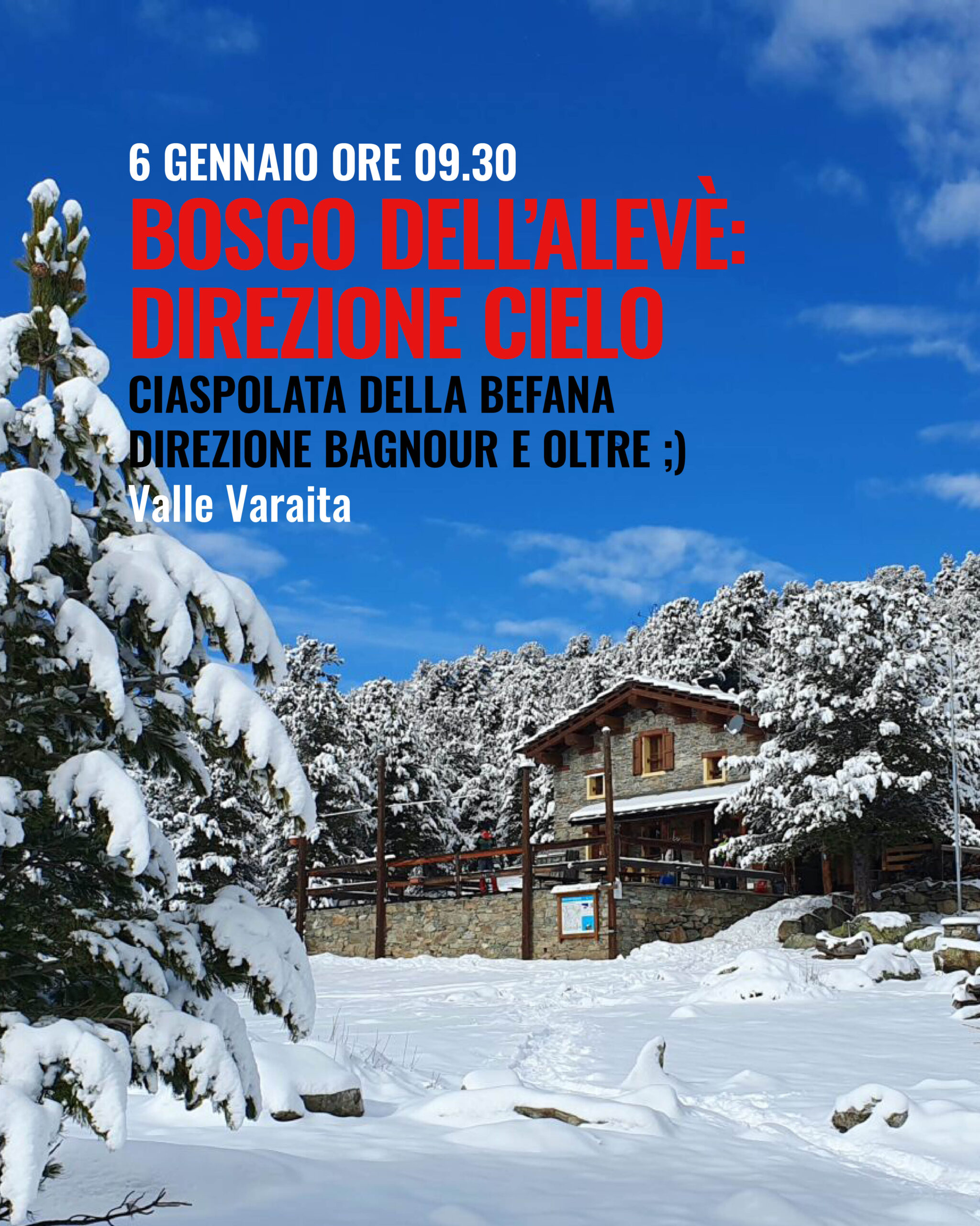 Bosco dell'Alevè: direzione cielo 06 gennaio