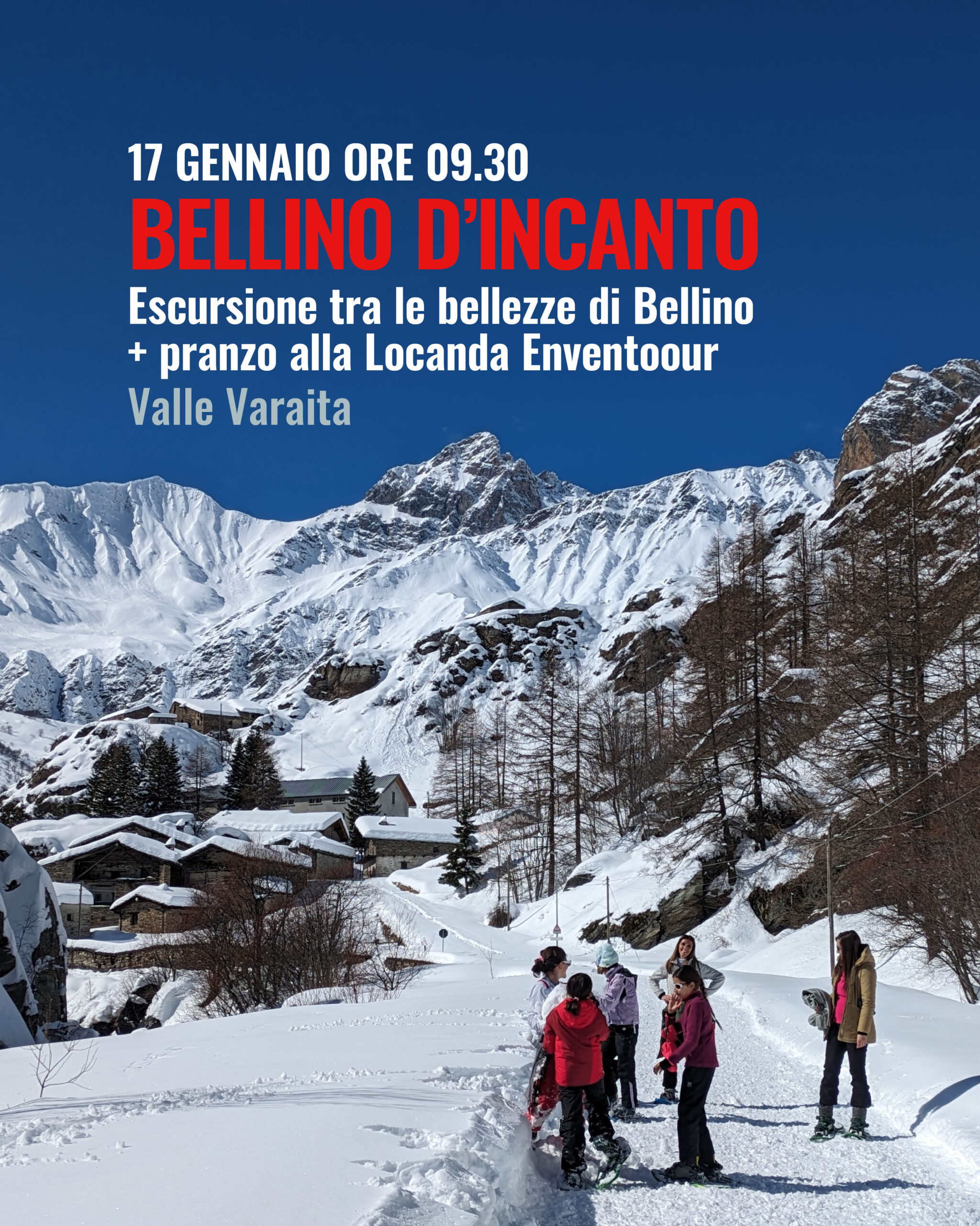 Bellino d'incanto 17 gennaio