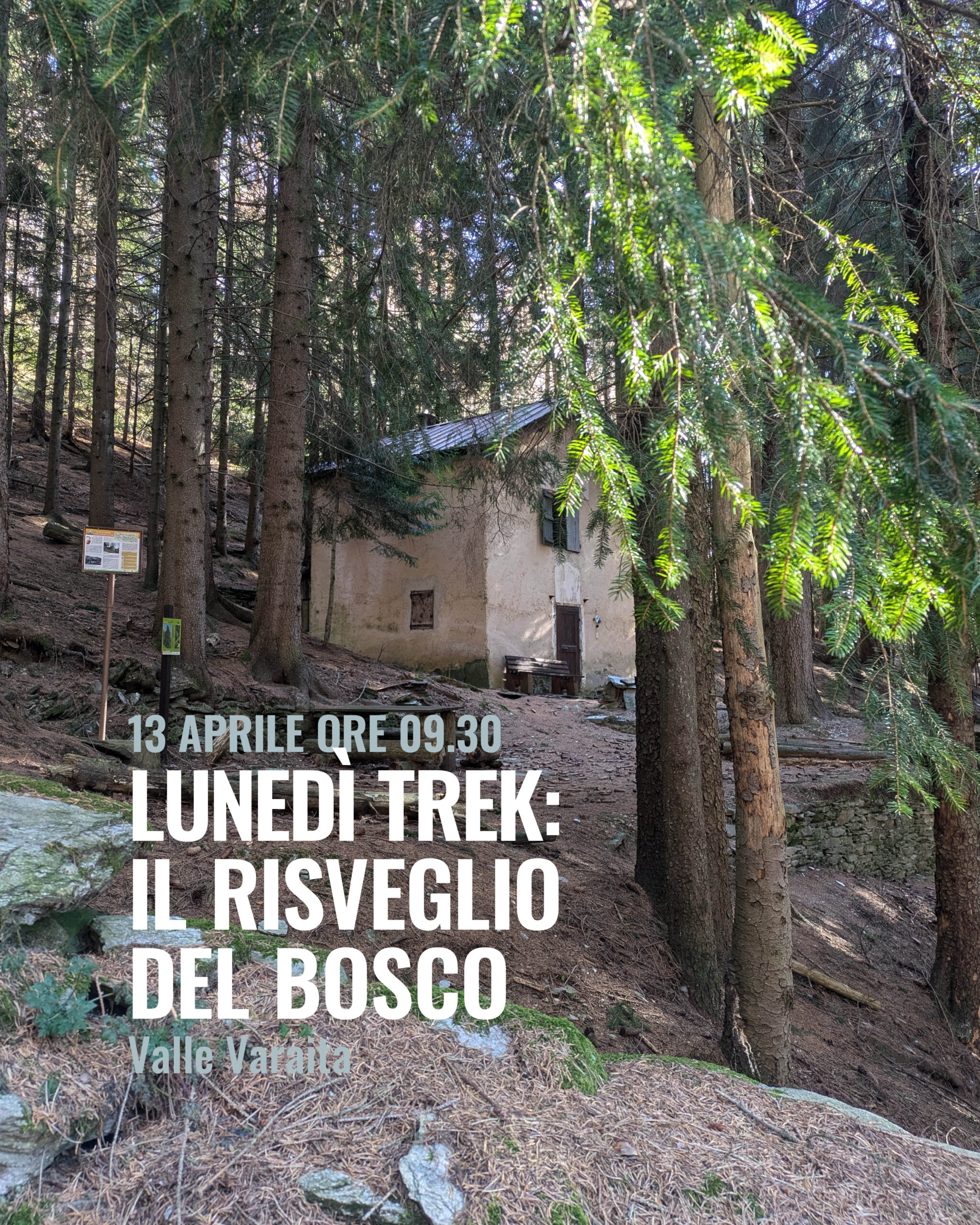 lunedì trek il risveglio del bosco a Sampeyre 13 aprile